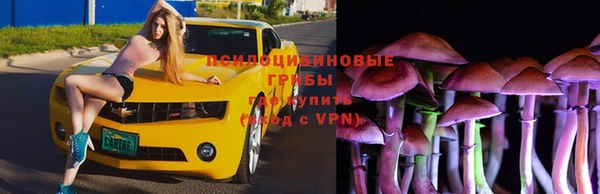 MESCALINE Мегион