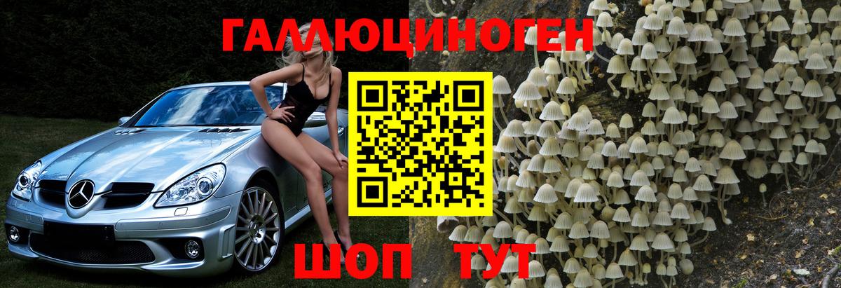 Псилоцибиновые грибы мухоморы Батайск