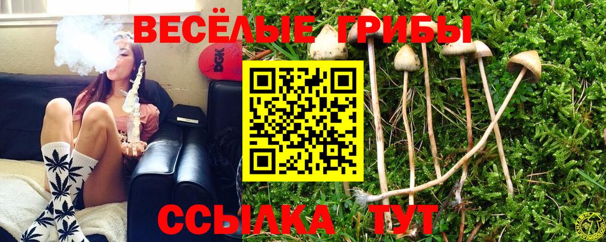 Псилоцибиновые грибы ЛСД  Галлюциногенные грибы Psilocybine cubensis  Батайск 