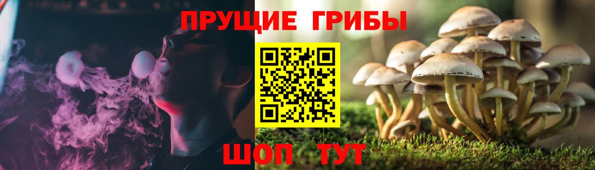 Галлюциногенные грибы мицелий  Вход с VPN  Батайск 